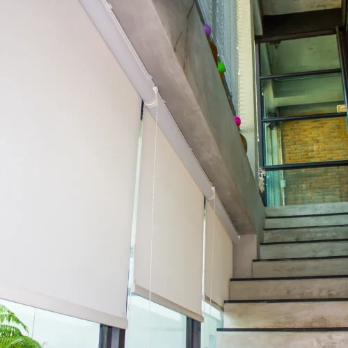 shutterstock 1048104094 1c8d2589 5201 493f 881e 5e7880c2c4ff