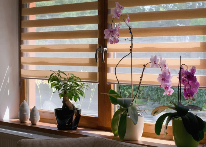 shutterstock 1426321247 1